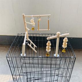 img 1 attached to 🦜 Premium Hamiledyi Parrot Playground: Natural Wood Climbing Perches & Swing Toy for Small Conure, Love Birds, African Grey, Macaw, Budgies, and More!