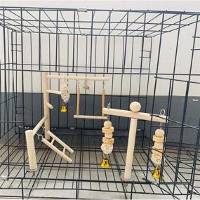 img 2 attached to 🦜 Premium Hamiledyi Parrot Playground: Natural Wood Climbing Perches & Swing Toy for Small Conure, Love Birds, African Grey, Macaw, Budgies, and More!