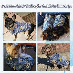 img 1 attached to 🐶 DOGGYZSTYLE Denim Dog Jacket Hoodie - Stylish Puppy Vest for Small to Medium-sized Dogs