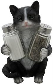 img 4 attached to Black & White Kitty Cat Glass Salt and Pepper Shaker Set with Holder Figurine: Decorative Kitten Statues & Sculptures - Perfect Pet Kitchen Table Decor Gifts for Cat Lovers