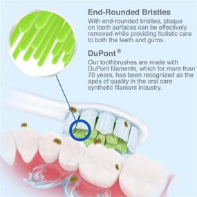 img 2 attached to 🦷 Ultimate Brushmo Replacement Toothbrush Heads for Sonicare DiamondClean HX6063 - Set of 8, White