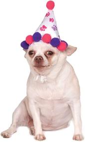 img 2 attached to Pet Birthday Hat with Ruby Red and Purple Paw Prints