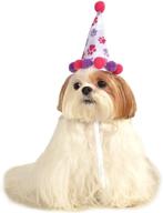 pet birthday hat with ruby red and purple paw prints логотип