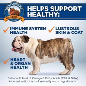 img 1 attached to 🐟 Grizzly Salmon Plus Omega Fatty Acids Supplement for Dogs and Cats (Various Sizes) - Wild-Sourced Salmon Oil for Dogs, Omega 3 6 9