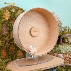 img 1 attached to 🐹 Niteangel Acrylic Hamster Exercise Wheel with Soft Cork Track: Ideal for Hamsters, Gerbils, Lemmings, Mice, and Other Small Animals!