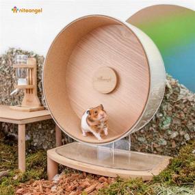 img 3 attached to 🐹 Niteangel Acrylic Hamster Exercise Wheel with Soft Cork Track: Ideal for Hamsters, Gerbils, Lemmings, Mice, and Other Small Animals!