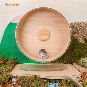 img 2 attached to 🐹 Niteangel Acrylic Hamster Exercise Wheel with Soft Cork Track: Ideal for Hamsters, Gerbils, Lemmings, Mice, and Other Small Animals!