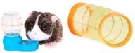 the ultimate our generation guinea pig set: a perfect pet for you! логотип