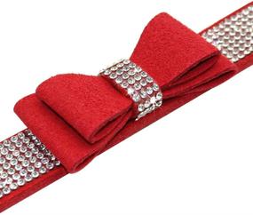 img 1 attached to 🐾 Beirui Rhinestone Leather Dog & Cat Collar: Sparkly Crystal Diamonds for Small Medium Large Dogs - Glamorous and Elegant Design!