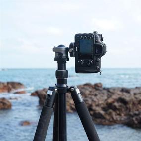 img 2 attached to 📷 SIOTI Ball Head Camera Mount: Versatile Tripod Mount for DSLR, Mirrorless, Camcorder & More