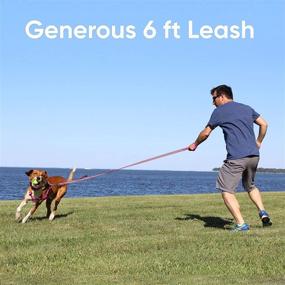 img 2 attached to 🐾 Heavy Duty Double Handle Dog Leash by Pawtitas - Ideal for Training Medium and Large Dogs, Perfect for Walking, Running, and Training - No Pull Leashes