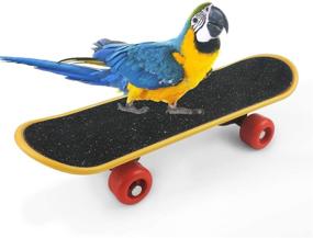 img 1 attached to 🐦 WBYJ Bird Training Toys: Enhance Parrot Intelligence with 7 Pack - Stacking Rings, Skateboard Stand Perch, Mini Sneaker, Birds Bell Ball. Ideal for Parrot Macaw African Greys Cockatoo Conure Cockatiel!