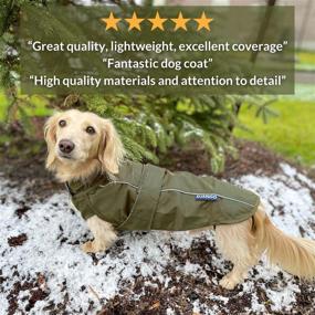img 3 attached to Stay Stylish and Protected: DJANGO City Slicker All-Weather Dog Jacket & Water-Repellent Raincoat with Reflective Piping