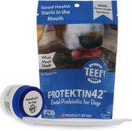 🦷 teef! daily dental care: natural dog dental water additive for healthier gums - award winning protektin42 formula, tartar and plaque remover - no brushing required logo