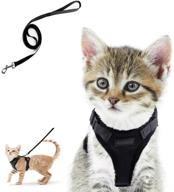 🐾 wisdoman cat harness and leash for walking - escape proof soft mesh adjustable vest harnesses for cats kitten dog - easy control breathable reflective strips vest for small medium cats logo