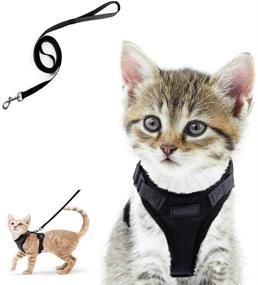 img 4 attached to 🐾 Wisdoman Cat Harness and Leash for Walking - Escape Proof Soft Mesh Adjustable Vest Harnesses for Cats Kitten Dog - Easy Control Breathable Reflective Strips Vest for Small Medium Cats