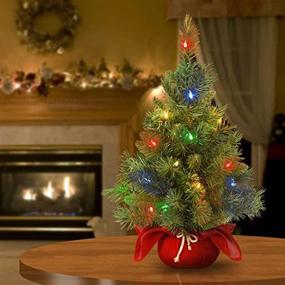 img 3 attached to 🎄 2ft National Tree Company Pre-lit Mini Christmas Tree - Majestic Fir, with Multi-Color LED Lights, Cloth Bag Base
