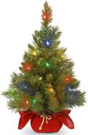 🎄 2ft national tree company pre-lit mini christmas tree - majestic fir, with multi-color led lights, cloth bag base логотип