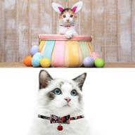 🐱 riccioofy cat collar: stylish bow tie, quick release, and breakaway design for kitten to big cats - neck girth 6-11” (1pcs) logo