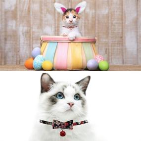 img 1 attached to 🐱 Riccioofy Cat Collar: Stylish Bow Tie, Quick Release, and Breakaway Design for Kitten to Big Cats - Neck Girth 6-11” (1pcs)