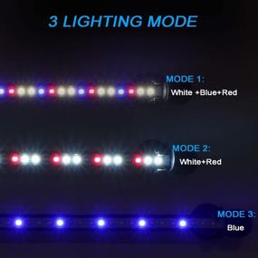 img 1 attached to 🐠 MingDak 24/7 Submersible Aquarium Light: Auto Turn on/Off, Day/Night Cycle, 3 Stage Timer, True 660Nm RED LEDs, Brightness Adjust - Buy Now for Your Fish Tank!