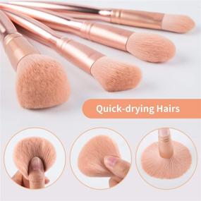 img 3 attached to Rose Gold Makeup Brush Set - 12pcs Premium Cosmetic Brushes for Foundation, Blending, Blush, Concealer, Eye Shadow, Lip, with Soft Synthetic Fiber Hairs. Includes Travel Pink Makeup Bag.