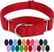 🐶 heavy duty nylon martingale dog collar by country brook petz logo