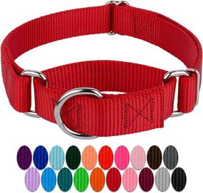 img 4 attached to 🐶 Heavy Duty Nylon Martingale Dog Collar by Country Brook Petz