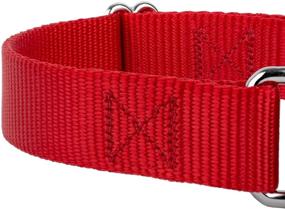 img 1 attached to 🐶 Heavy Duty Nylon Martingale Dog Collar by Country Brook Petz