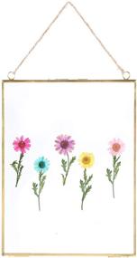 img 4 attached to 🖼️ Large Wall Hanging Brass Picture Frame for Pressed Flowers - 11 x 8 Inch Copper Double Glass Photo Frame with Floating Display - Ideal for Artwork, Certificates, and Posters - Gold Finish