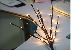 img 2 attached to 🌿 2 Pack Branch Lights - Battery Powered Willow Twig Lighted Branch for Home Decoration - 29 Inches 20 LED Lights - Warm White Decorative Branches
