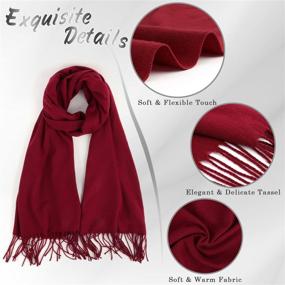 img 3 attached to 🧣 Landisun Women's Cashmere Pashmina Tassel Scarves & Wraps: Essential Accessories for Women