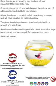 img 2 attached to 🐟 Pisces Gold Betta Jewels: Premium 17oz Supplement for Siamese Fighting Fish, Betta Fish, Goldfish, Guppies