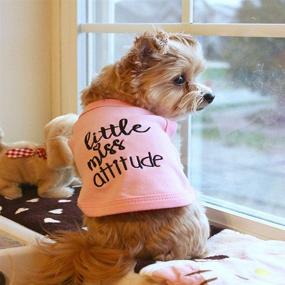 img 2 attached to 🐶 Parisian Pet Funny Cute Dog Cat Pet Shirts: Cautionary Licker, Fitness Enthusiast, Adorable Monster, WTF Apparel, Best Friend Forever, Bling Dollar Sign, Treat Seeker, Irresistible Charm, Feisty Little Miss