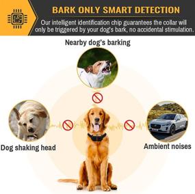 img 3 attached to 🐕 Petrainer PET856: Waterproof No Bark Collar with Beep Vibration, Smart Detection, and Static Technology – Effective Anti-Bark Collar for Dogs of All Sizes