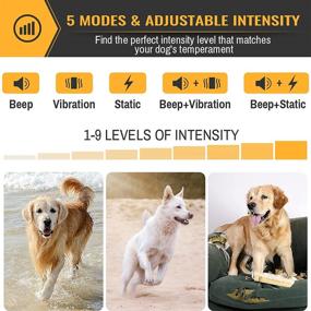 img 2 attached to 🐕 Petrainer PET856: Waterproof No Bark Collar with Beep Vibration, Smart Detection, and Static Technology – Effective Anti-Bark Collar for Dogs of All Sizes