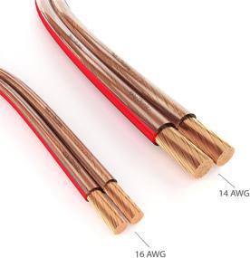 img 2 attached to 🔊 KabelDirekt – Pure Copper Stereo Audio Speaker Wire & Cable – Made in Germany – 14 AWG Gauge – 100 feet – Ideal for HiFi Speakers and Surround Sound Systems, Pure Copper, Polarity Markings Included