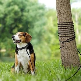 img 3 attached to Joytale Long Dog Training Leash: 15 FT, 33 FT and 50 FT Options - Tie Out Rope Check Cord with Padded Handle. Reflective Recall Lead for Puppy and Small Dogs.