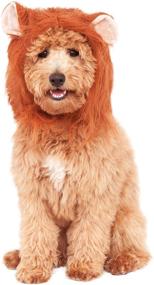 img 4 attached to 🦁 Lion's Mane Costume Accessory: Transform Your Pet into a Majestic King!