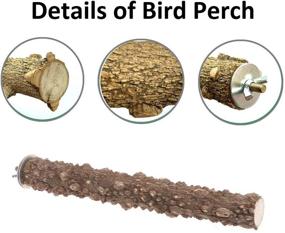 img 1 attached to Bird Perch Stand - Natural Wood Stick Playground, Paw Grinding and Cleaning Accessory for Parrot, Budgie, Cockatiel, Conure, Lovebird, Finch, Macaw