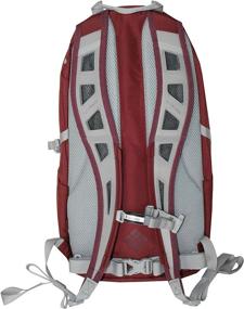 img 1 attached to COLUMBIA SILVER RIDGE Backpack Bloodstone