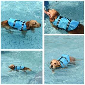 img 3 attached to HOTGOL Adjustable Dog Life Jacket with Reflective Stripes - Safety Vest for Small, Medium, and Large Dogs - Swimming Coat