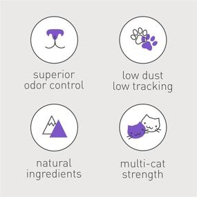 img 1 attached to 40 Lb / 18.14 Kg Pack of Clean Tracks Cat Litter (Pack May Vary)