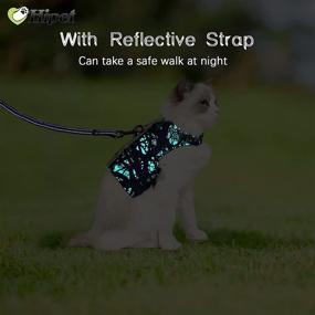 img 1 attached to Escape Proof Cat Harness and Leash Set - Air Mesh Fabric Outdoor Walking Vest with Reflective Strips for Small Dogs and Cute Cats (XL, Dark Green)