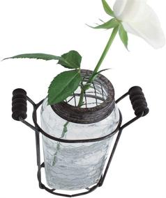 img 3 attached to 🌷 Time Concept Rustic Glass Flower Vase with Wire Mesh Top - Small Jar with Handle for Floral Arrangement and Home Decor
