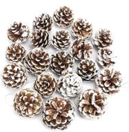 christmas pinecones ornaments thanksgiving decorations logo
