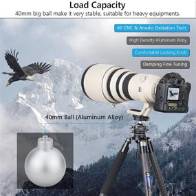 img 2 attached to 📷 40MM Diameter Low Profile Tripod Ball Head with Quick Release Plates - Ideal for Camera Tripod, Stabilizer & Photography Equipment, Ensuring Precise Framing - Max Load 44lbs/20kg
