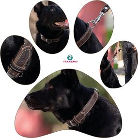 img 1 attached to 🐾 TULYANO Genuine Leather Dog Collar: Premium, Soft Leather with Padded D-Ring for ID Tags - Perfect for Large, Medium, and Small Dogs