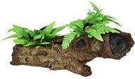 dazzling exotic environments mopani wood with stunning silk style plants: unleash a majestic aquatic paradise! logo