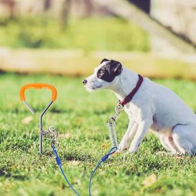 img 3 attached to 🐶 Petbobi Chew-Proof Tie Out Cable for Dogs - 30 Feet, Durable Spring Rust-Proof Training Tether with Reflective Training Runner - Ideal for Playtime, Camping, Backyard In-Ground - Blue